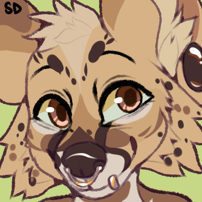 Bark