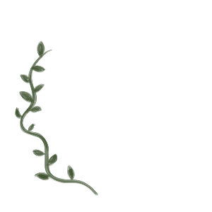Avatar Frame